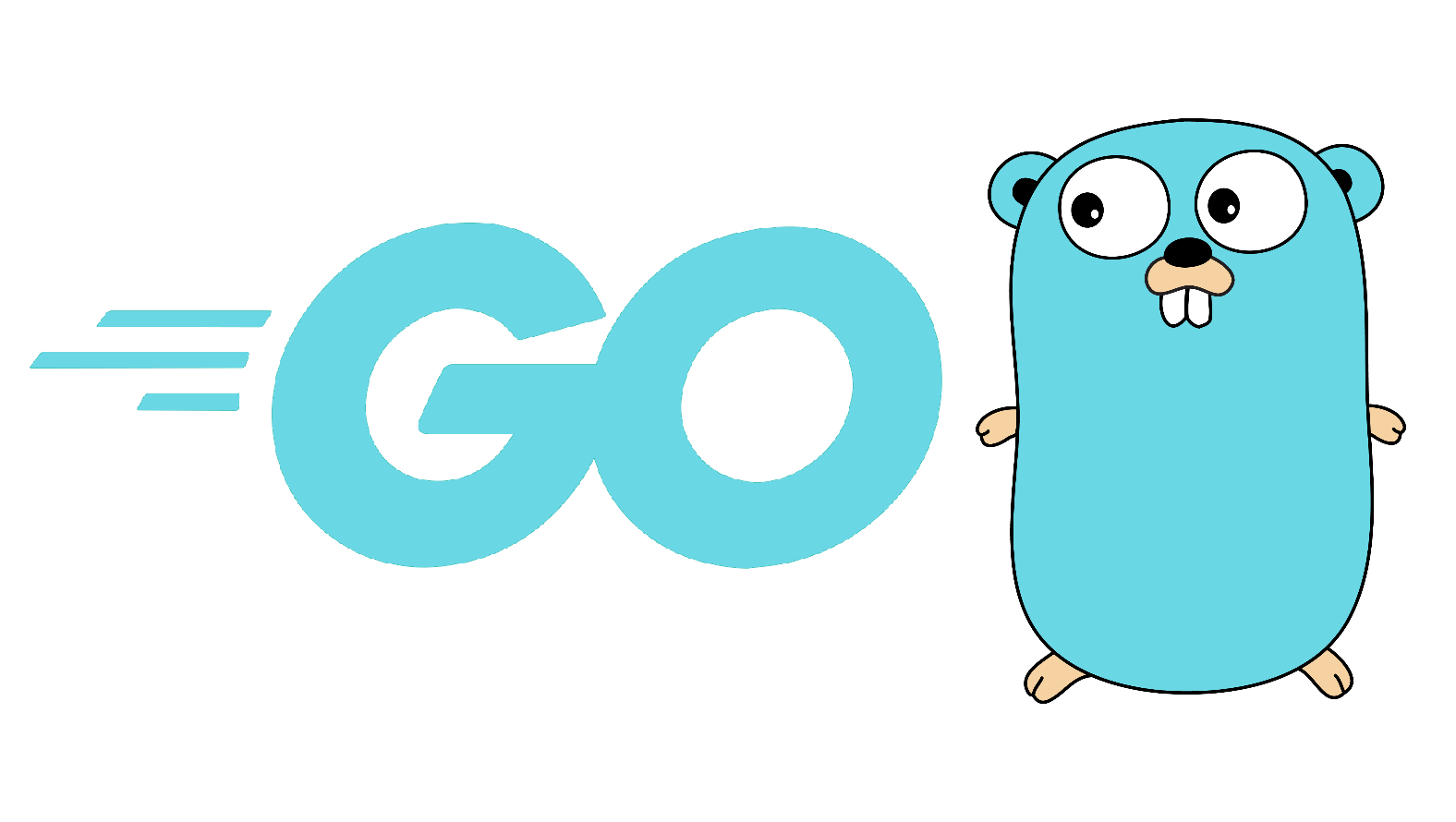 Featured image of post Go